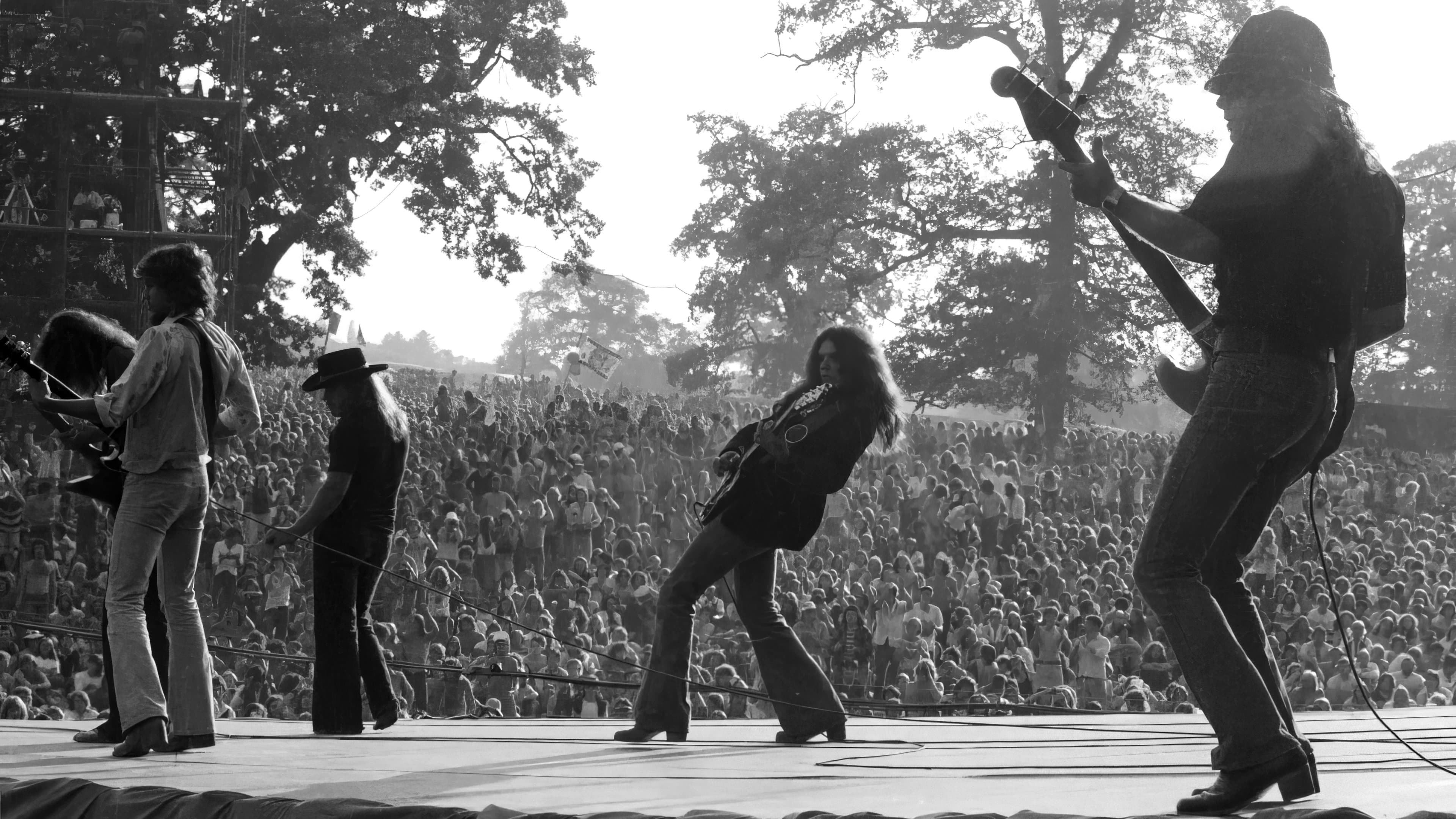 Lynyrd Skynyrd - Knebworth Festival 1976
