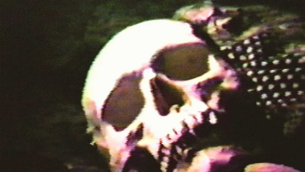 Cannibal Orgy