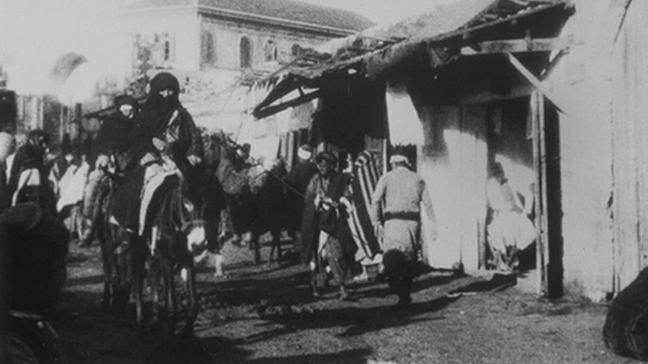 Jaffa : Marché, III