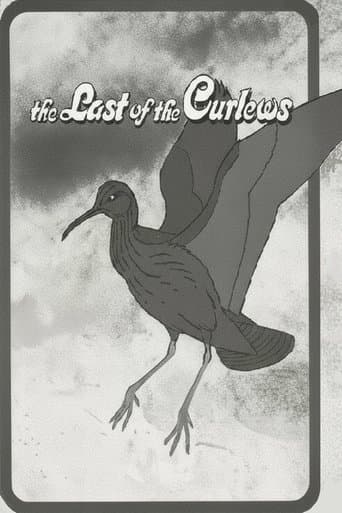 The Last of the Curlews
