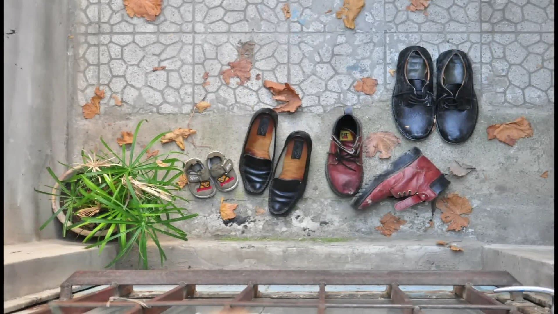 پدرم همهی فصلهایش یکی بود...